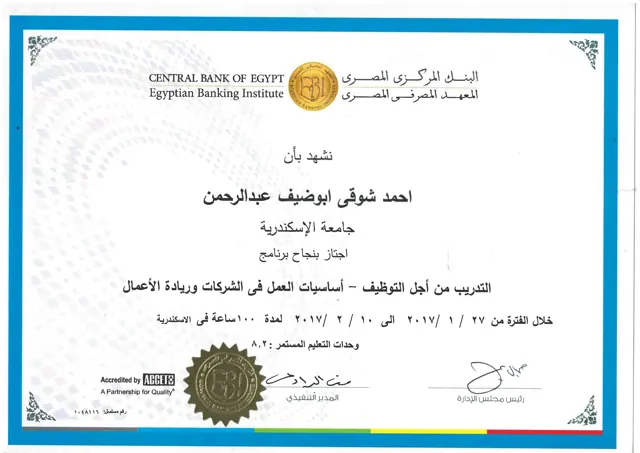 Business Fundamentals & Entrepreneurship (100 hours) — Egyptian Banking Institute — Central Bank of Egypt