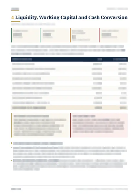 Liquidity, working capital & cash conversion